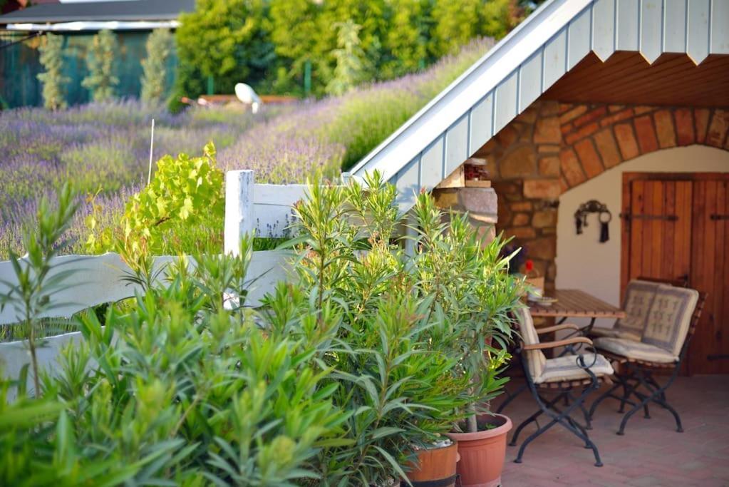 Villa Levendula Vendeghaz Lovas Exterior foto