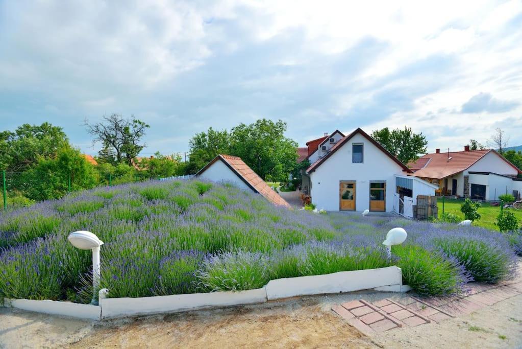 Villa Levendula Vendeghaz Lovas Exterior foto